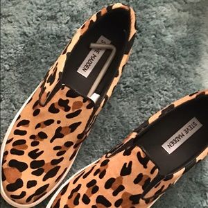 Steve madden shoes